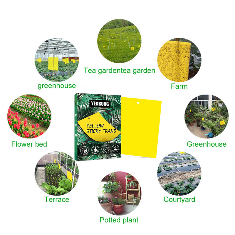 100 vnt. stiprių musių gaudyklės, klaidos, lipnios lentos, gaudančios amarus, vabzdžius, kenkėjus naikinančius baltuosius muselių lapus, lipdukus