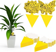 50 vnt musių gaudyklė uodų vabzdžių lipnūs spąstai dvipusiai musių gaudyklės augalas geltoni kenkėjų kontrolės stiprūs klijai amarams uodams