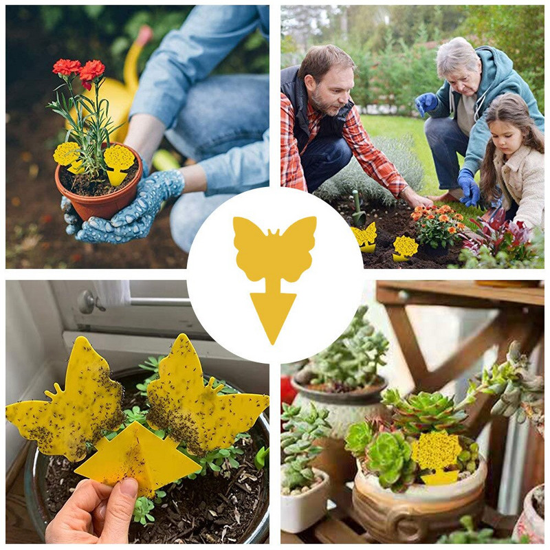 50 vnt musių gaudyklė uodų vabzdžių lipnūs spąstai dvipusiai musių gaudyklės augalas geltoni kenkėjų kontrolės stiprūs klijai amarams uodams