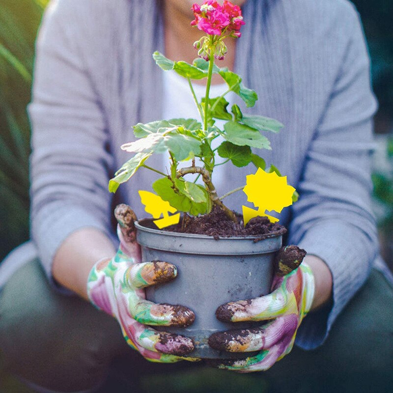 50 vnt musių gaudyklė uodų vabzdžių lipnūs spąstai dvipusiai musių gaudyklės augalas geltoni kenkėjų kontrolės stiprūs klijai amarams uodams