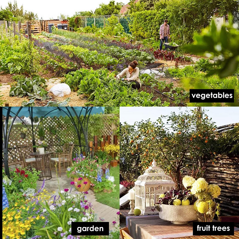 Pasca na lov vtákov, účinná humánna pasca na živé malé vtáky, prepelice, vysoko kvalitné humánne pasce na lov malých vtákov