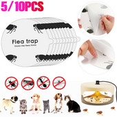 5/10 tk ühekordselt kasutatavad kirbulõksu täitekleebised Kleepuvad kupliga asenduspadjad Mittetoksiline liimiketas putukatele Kärbsed, Sääsed