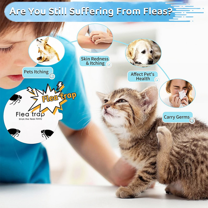 5/10 tk ühekordselt kasutatavad kirbulõksu täitekleebised Kleepuvad kupliga asenduspadjad Mittetoksiline liimiketas putukatele Kärbsed, Sääsed