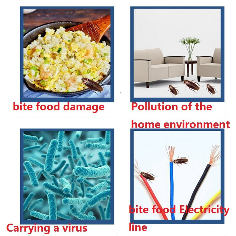 1vnt Tarakonų gaudyklė, saugus, efektyvus, veiksmingas prieš tarakonus gaudantis tarakonų namelio dėžutės masalas vabzdys Kenkėjas Tarakonų gaudyklė Netoksiškas