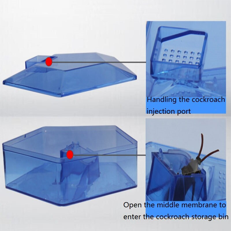 1vnt Tarakonų gaudyklė, saugus, efektyvus, veiksmingas prieš tarakonus gaudantis tarakonų namelio dėžutės masalas vabzdys Kenkėjas Tarakonų gaudyklė Netoksiškas