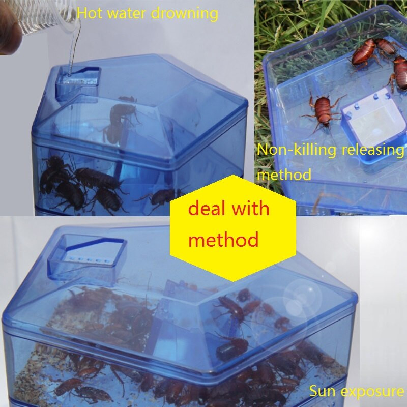 1vnt Tarakonų gaudyklė, saugus, efektyvus, veiksmingas prieš tarakonus gaudantis tarakonų namelio dėžutės masalas vabzdys Kenkėjas Tarakonų gaudyklė Netoksiškas