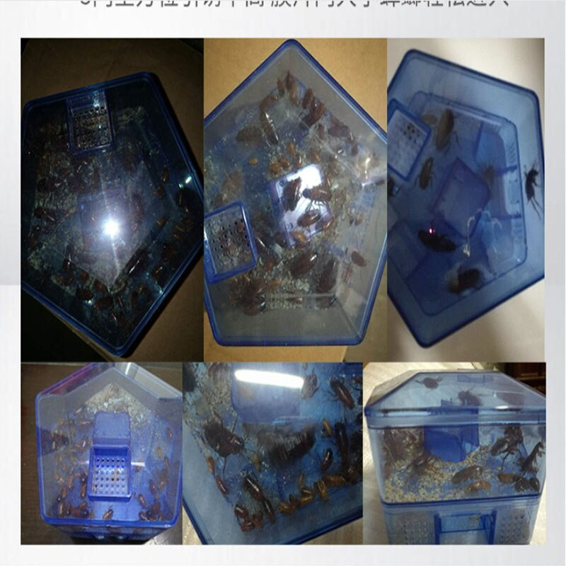 1vnt Tarakonų gaudyklė, saugus, efektyvus, veiksmingas prieš tarakonus gaudantis tarakonų namelio dėžutės masalas vabzdys Kenkėjas Tarakonų gaudyklė Netoksiškas