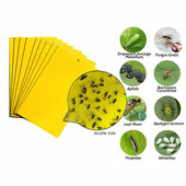 Snažne zamke za muhe, kukci, ljepljiva ploča, dvostrana hvataljka, lisne uši, insekti, suzbijanje štetočina, naljepnica s ljepilom za bijelu mušicu, tripa