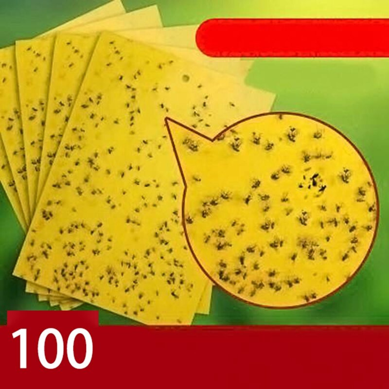 Muște puternice Capcane Gângăni Placă lipicioasă Prinderea afidelor Insecte Ucigaș Combaterea dăunătorilor Musca albă Thrip Adeziv