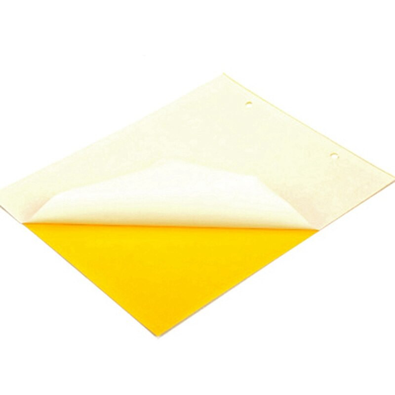 Muște puternice Capcane Gângăni Placă lipicioasă Prinderea afidelor Insecte Ucigaș Combaterea dăunătorilor Musca albă Thrip Adeziv