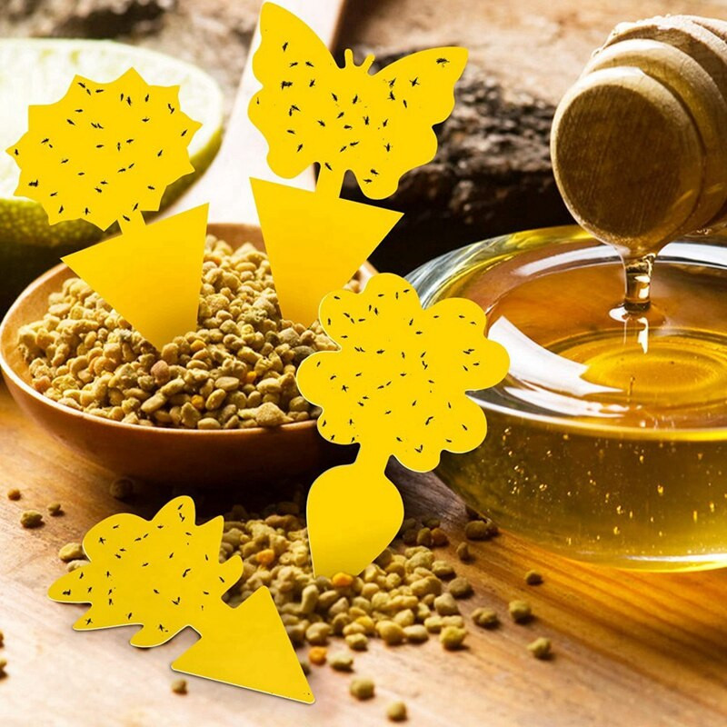 Lepkavé pasce na ovocné mušky, pasce na komáre, rastliny do kuchyne, do interiéru a exteriéru, biele muchy, komáre, lietajúci hmyz, izbové rastliny