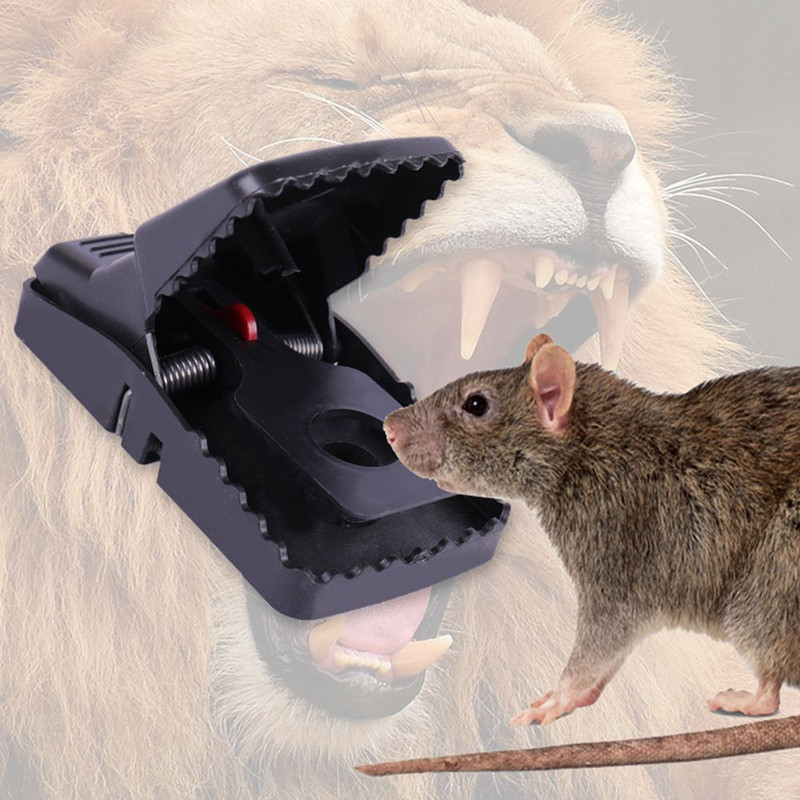 Nová plastová návnada na hlodavce, pasca na potkany, pasca na myši, chytač potkanov a škodcov