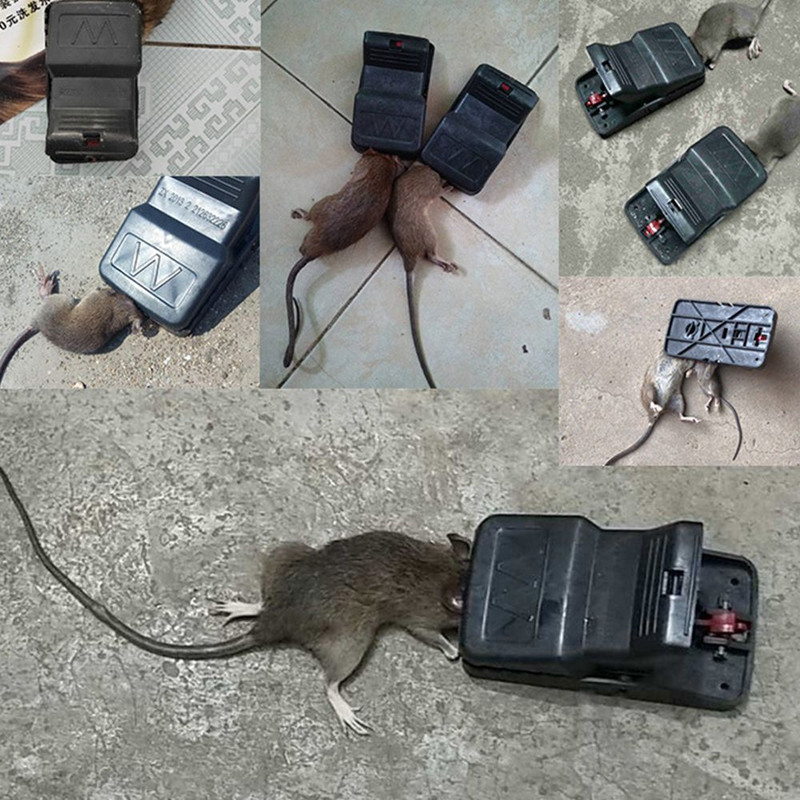 Nová plastová návnada na hlodavce, pasca na potkany, pasca na myši, chytač potkanov a škodcov