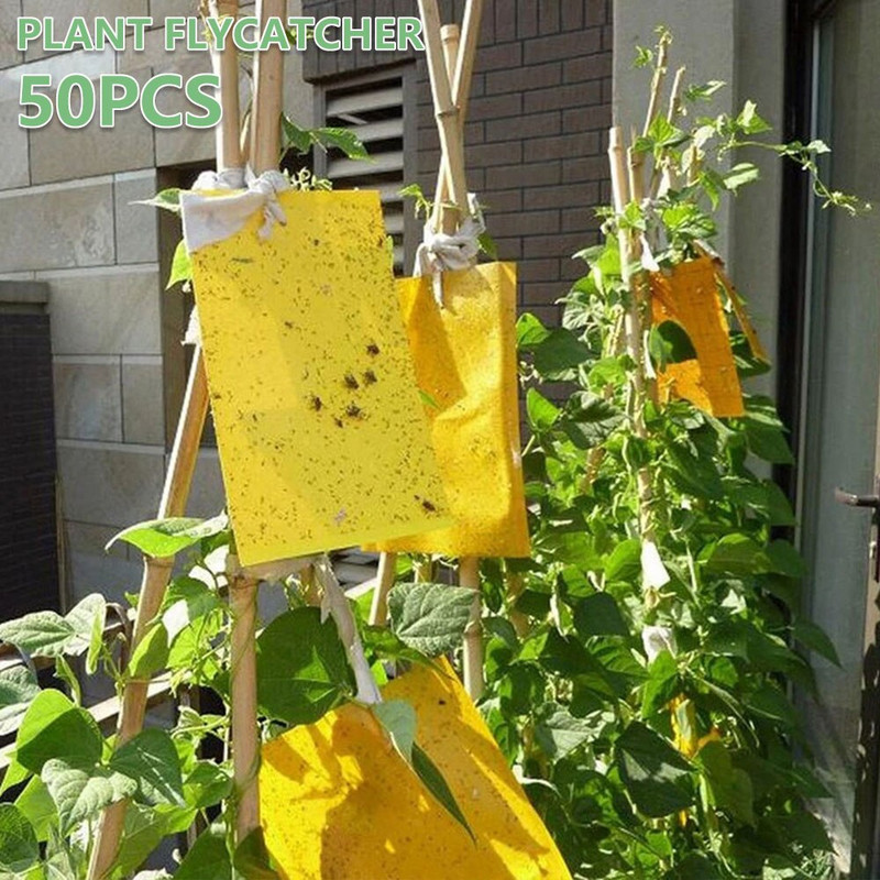 50db kétarcú paszta rovartábla kétoldalas poloska légy matricák ragasztótábla ragasztó csapdák ragadós rovarfogó légyfogó
