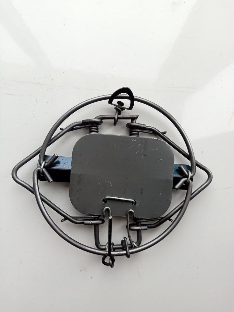 Malé pasce na myši Železné spony Pasce na myši Pasca na hlodavce Pružinové pasce na myši