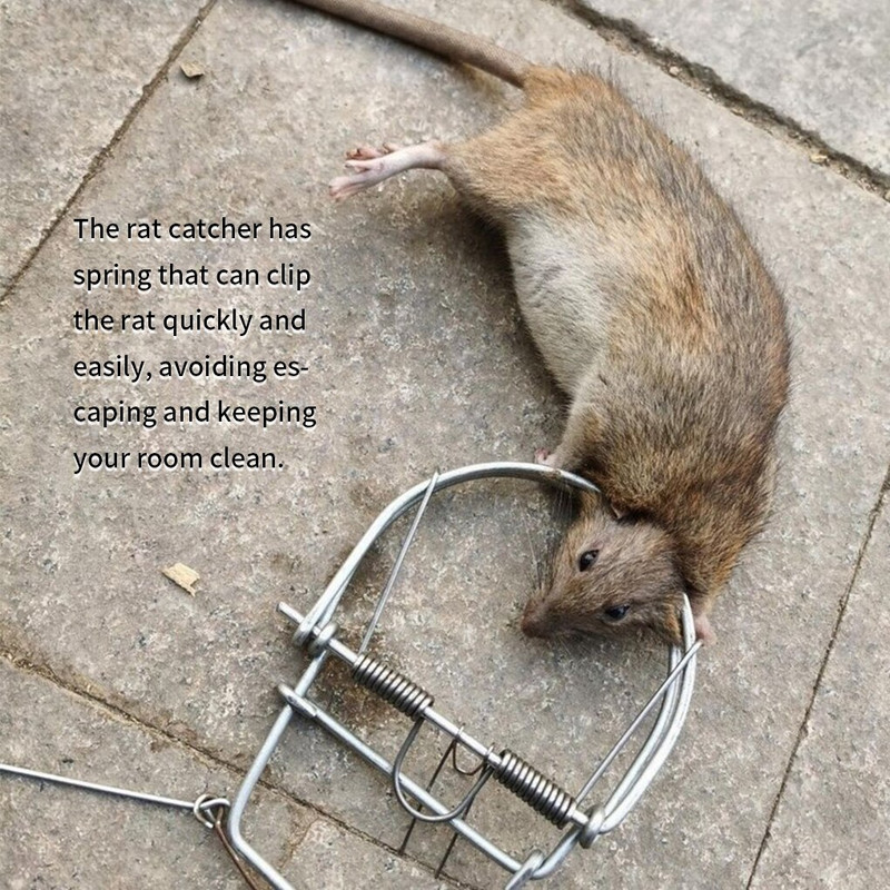 2022 NOU Capcană pentru șoareci Capcană pentru șobolani de primăvară Capcană pentru nevăstuică Capcană pentru șoareci Control dăunători Capcană pentru șoareci de vânătoare Instrument de prindere pentru șobolani de primăvară