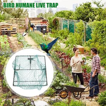 Διχτυοπαγίδα κυνηγιού πουλιών Ατσάλινο πλαίσιο Ανθεκτικό ορτύκι Humane ζωντανή παγίδα Ελαφρύ ψαρόνι που πιάνει δίχτυα κηπουρική
