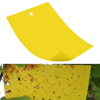 30/50 τεμ. Insects Glue Sticky Board Trap Κίτρινο Αυτοκόλλητο διπλής όψεως ιπτάμενων εντόμων που πιάνουν τον έλεγχο για θερμοκήπιο στον κήπο του σπιτιού