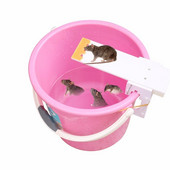 Nová pasca na myši s automatickým resetom, nezabíjanie, žiadne jedovaté pasce, dosková hojdačka, chytač návnad, humánny zabijak myší, záhradný produkt na kontrolu škodcov