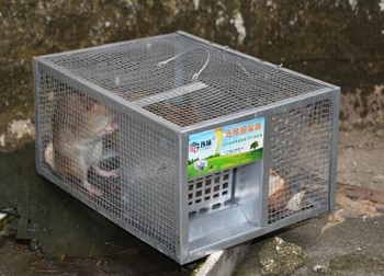 Οικιακή Μεγάλη Ποντικοπαγίδα Αυτόματη Συνεχής Ποντικοπαγίδα Ποντίκι Catcher Humane Animal Animal Rat Cage HW136