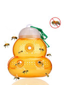 Pasca na muchy, zabijak tekvicovitého tvaru, závesná pasca na osy je vhodná na chytanie hmyzu, sršňov, opakovane použiteľných pascí na včely a tesárov do záhrady.