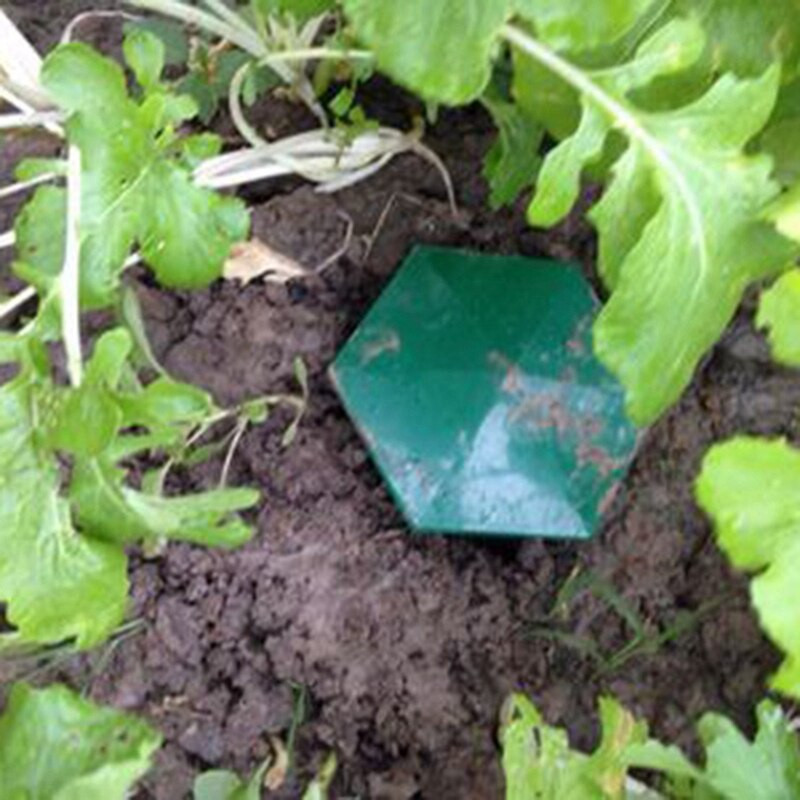 24 de bucăți capcane pentru melci de bere ecologice pentru a prinde melci Capcane de melci, sigure pentru copii și animale de companie