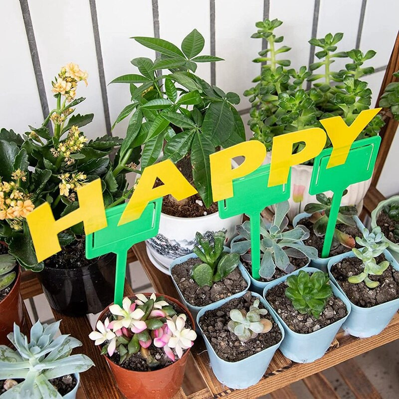 Pasce na muchy, lepkavé pasce na ovocné mušky, lepkavý hmyz, pasce na ovocné mušky, vnútorné a vonkajšie použitie, ničiaci komáre, ochrana proti škodcom, záhradníctvo pre rastliny