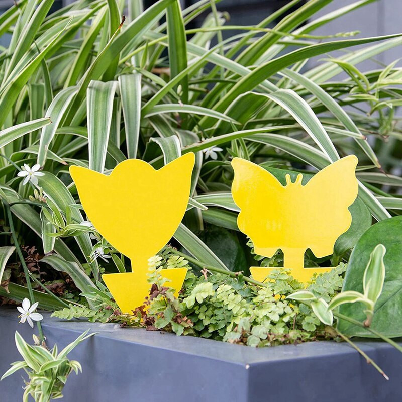 Pasce na muchy, lepkavé pasce na ovocné mušky, lepkavý hmyz, pasce na ovocné mušky, vnútorné a vonkajšie použitie, ničiaci komáre, ochrana proti škodcom, záhradníctvo pre rastliny