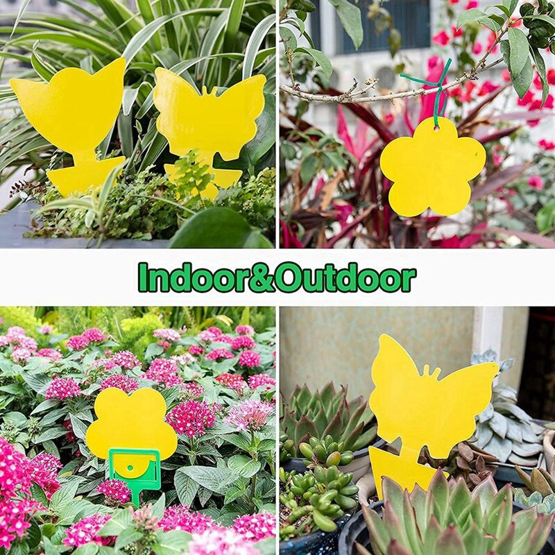 Pasce na muchy, lepkavé pasce na ovocné mušky, lepkavý hmyz, pasce na ovocné mušky, vnútorné a vonkajšie použitie, ničiaci komáre, ochrana proti škodcom, záhradníctvo pre rastliny