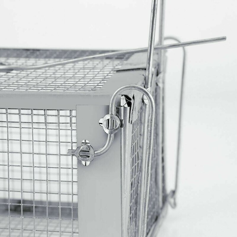 Ποντίκι Ποντίκι Ποντίκι Κλουβί Ζωντανό ζώο Τρωκτικό Ποντίκι Έλεγχος Δολωμάτων Προώθηση