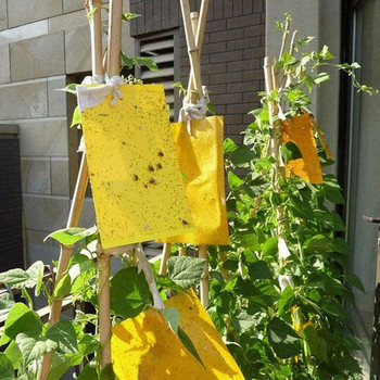 40 τμχ Ισχυρή αυτοκόλλητη κόλλα για την καταπολέμηση παρασίτων κήπου Κολλημένη πλάκα ζωύφια κολλώδη σανίδα σύλληψης εντόμων