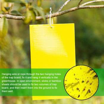 30-100 τμχ Ισχυρές παγίδες μυγών Bugs Κολλώδης σανίδα διπλής όψης που πιάνει αφίδες έντομο έλεγχο παρασίτων Whitefly Thrip Leafminer Glue