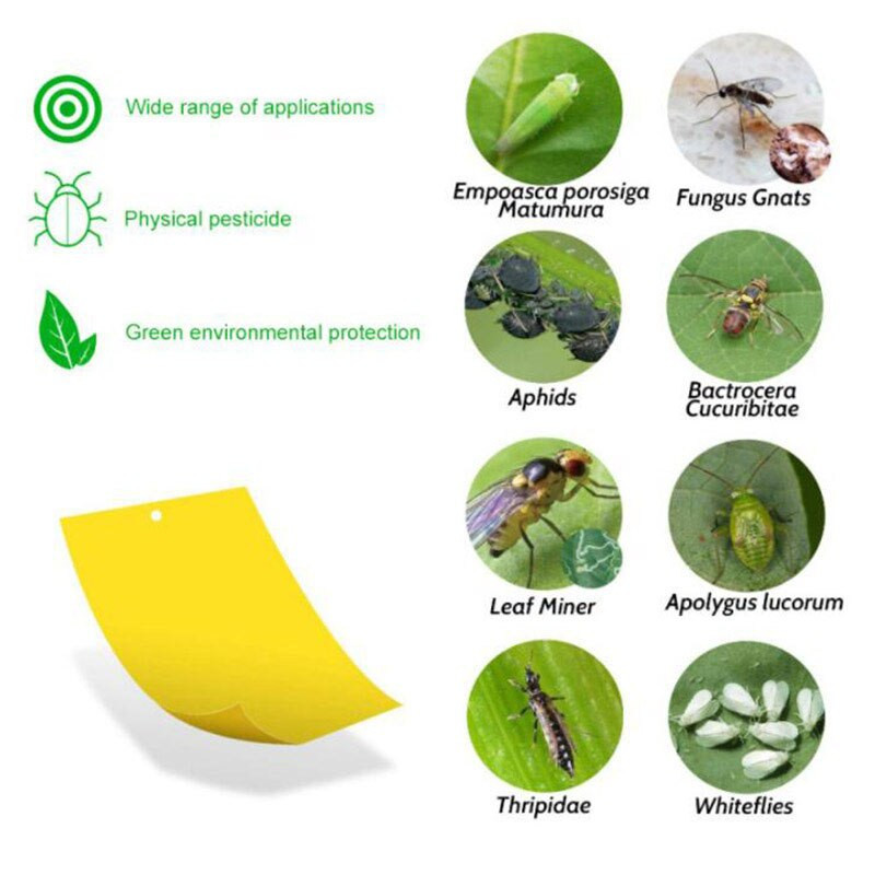 30-100 ks Silné pasce na muchy Chyby Lepiaca doska Obojstranná chytajúca vošky Hmyz Kontrola škodcov Biela muška Thrip Leafminer Lepiaca nálepka