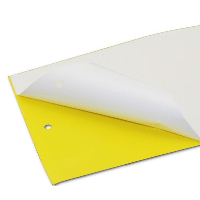 Capcane lipicioase pentru muștele albe Capcane lipicioase galbene pentru placa de lipici pentru muște atrage capcane Gnat Sticky