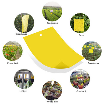 30/50 τεμ. διπλής όψης Ιπτάμενο έντομο που πιάνει έλεγχο αυτοκόλλητο Insects Glue Sticky Board Trap for Greenhouse Home Garden Yellow