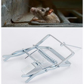 Pasca na myši, lasica, chytačka, snap pasca, krtkovia, pazúry, rýchlo zabiť myš, klietka, multifunkčná pasca na potkany, myši, kontrola škodcov, lovecký nástroj