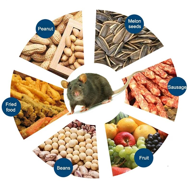 Capcană de șoareci continuă pentru uz casnic, cu spațiu mare, capcană automată pentru șobolani, cușcă sigură și inofensivă, cușcă pentru rozătoare de înaltă eficiență