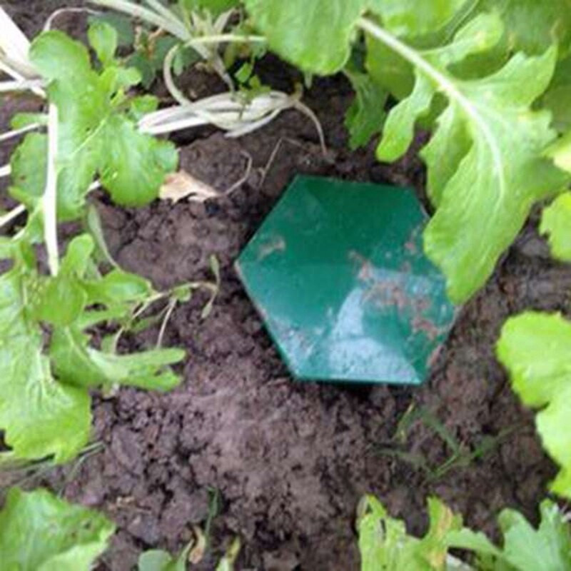 12 bucăți capcane pentru melci de bere, ecologice pentru a prinde melci, capcane de melci, sigure pentru copii și animale de companie