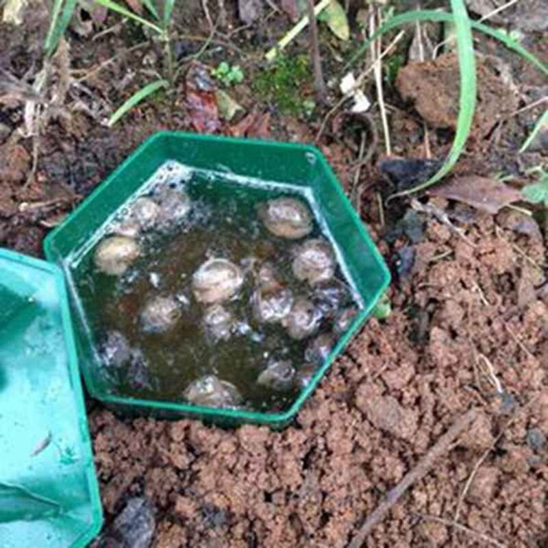 12 bucăți capcane pentru melci de bere, ecologice pentru a prinde melci, capcane de melci, sigure pentru copii și animale de companie