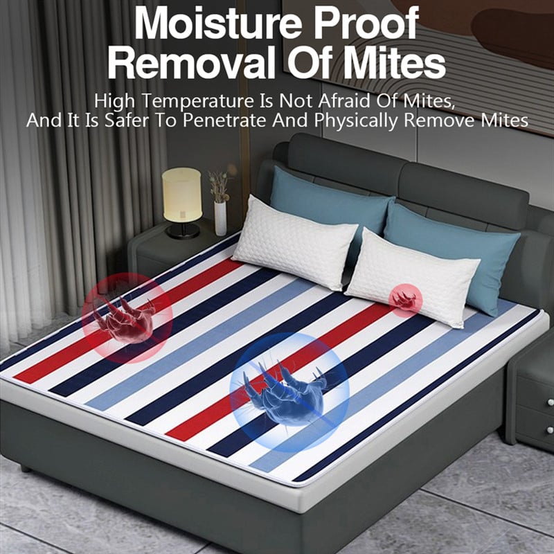 Elektrická vyhrievaná deka 220V hrubšia vyhrievacia deka s termostatom, koberec pre dvojité zimné ohrievače, elektrický matrac