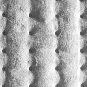 Ηλεκτρικό θερμαντικό μαξιλαράκι κουβέρτα χρονοδιακόπτη φυσιοθεραπεία Θερμαντικό μαξιλαράκι για τον αυχένα ώμου Πίσω σπονδυλική στήλη Πόδι ανακούφιση από τον πόνο Βύσμα ΕΕ
