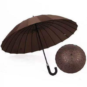 2020 m. karštas išpardavimas vandens gėlė, ilga rankena, didelio dydžio skėtis su 24 briaunomis golfo tiesus, gali atsispirti stipriam vėjui, moteris, vyras Paragvajuje