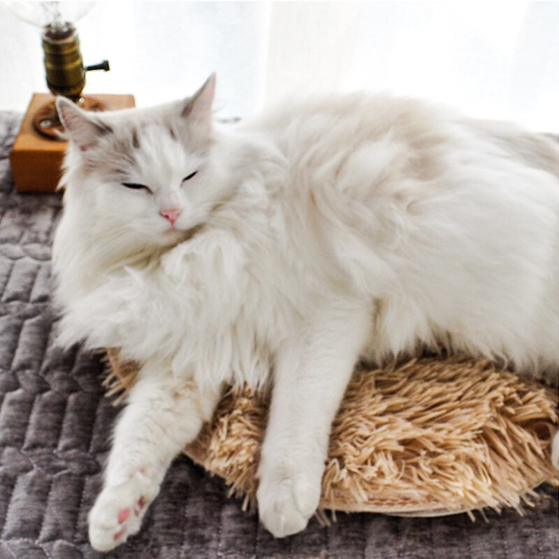 Fűtött szőnyeg Macska fűtőbetét macskáknak hőpárna kisállat Elektromos hőpárna takaró kiskutya nyuszi Usb melegítő ágyszőnyeg őszi téli párna