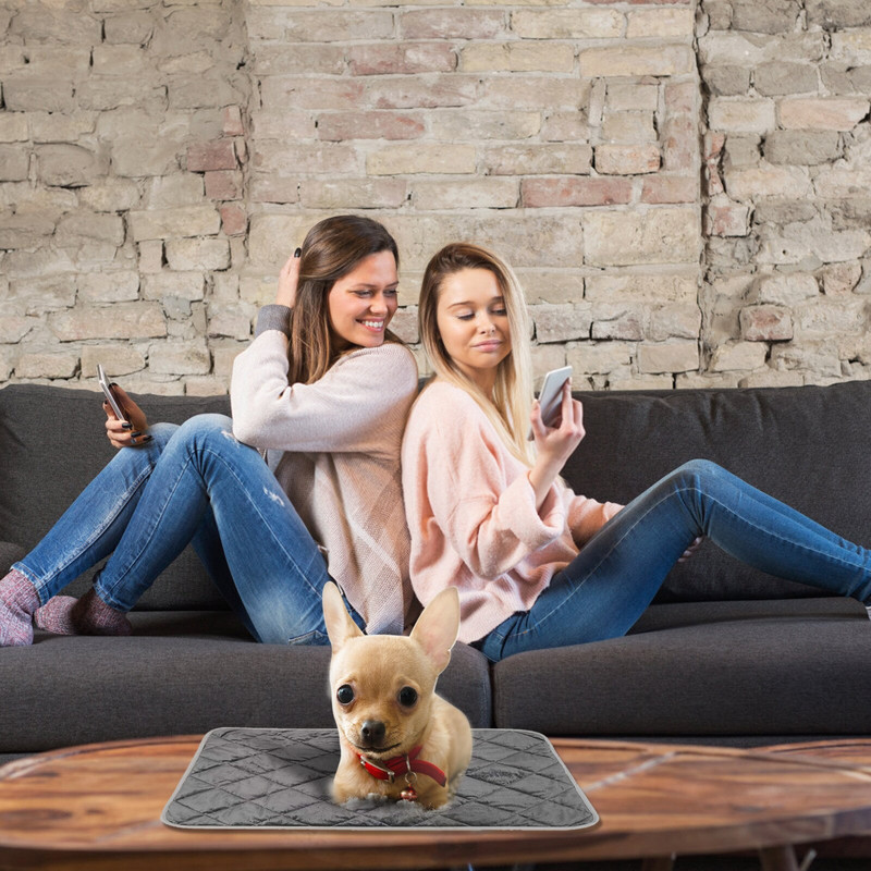 Pernă de încălzire electrică pentru pisici și câini, covoraș pentru pat pentru animale de companie, pernă impermeabilă pentru scaun