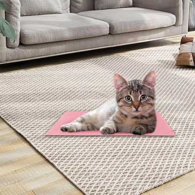 5V 10W šildymo padas, plaunamas žiemos šilumai, reguliuojamas sulankstomas USB šildytuvo dirželis, skirtas gyvūnams, sėdynės pilvas juosmens pečiai