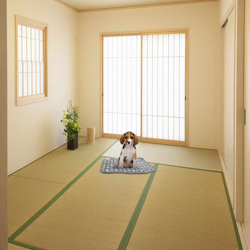 1 ks vyhrievacia podložka elektrická deka s nastaviteľnou teplotou (zástrčka)