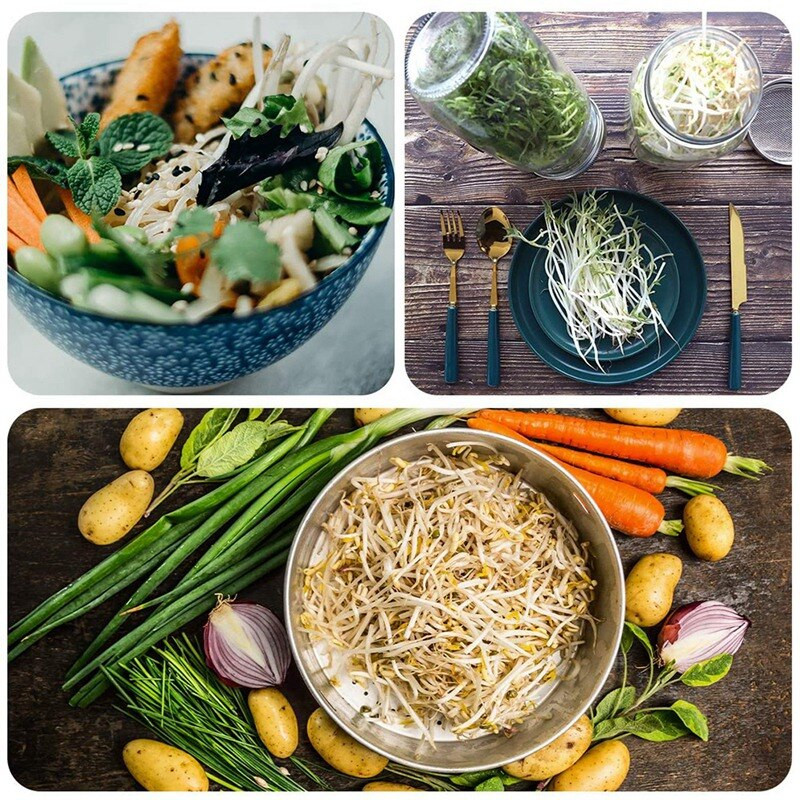 2 kompleta staklene tegle za klijanje od 1000 ml, komplet staklenki za klijanje za kućnu kuhinju/vrt, zidarski lonac s poklopcem od nehrđajućeg čelika i držačem