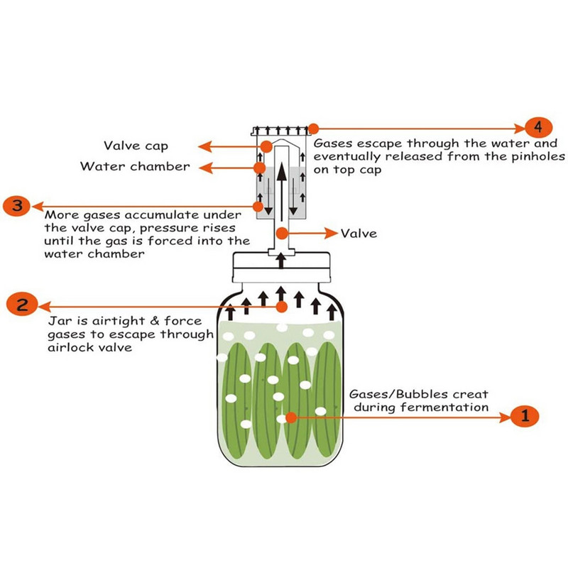 4 tk Köögiviljade kääritamise kaaned, kaaned, komplekt Toidu valmistamine Multifunktsionaalne Easy Clean Home meisterdamine Masoni tavaliste purkide jaoks