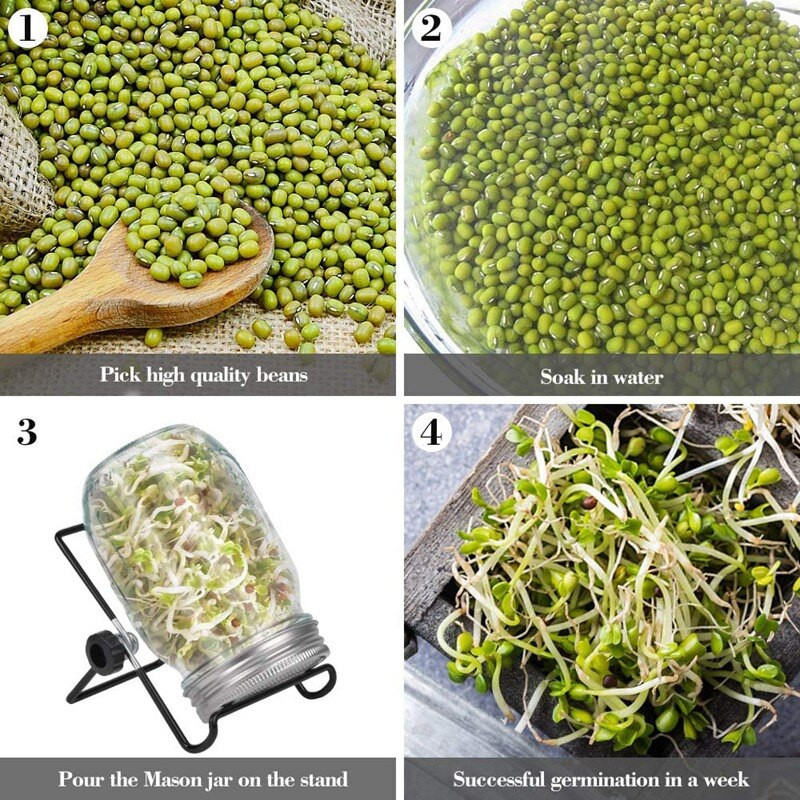 2 seturi de borcan de sticlă de 1000 ml, kit de borcan de germinare pentru bucătărie/grădină de acasă, oală de zidar cu capac din oțel inoxidabil cu suport