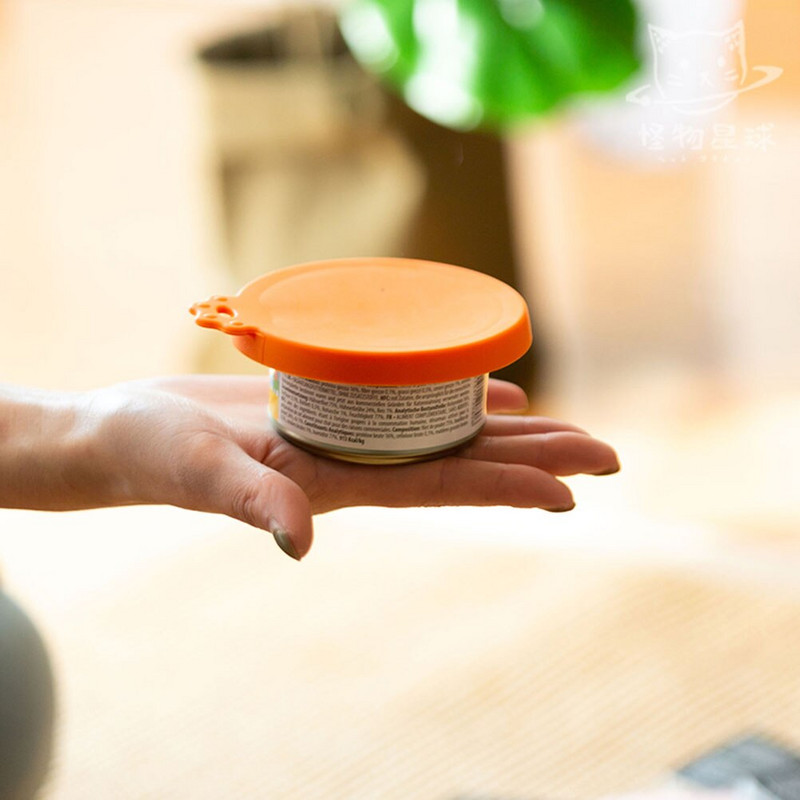 4 komada poklopca za višekratnu upotrebu Izolacijski poklopac Zaštitni poklopac za voće i povrće